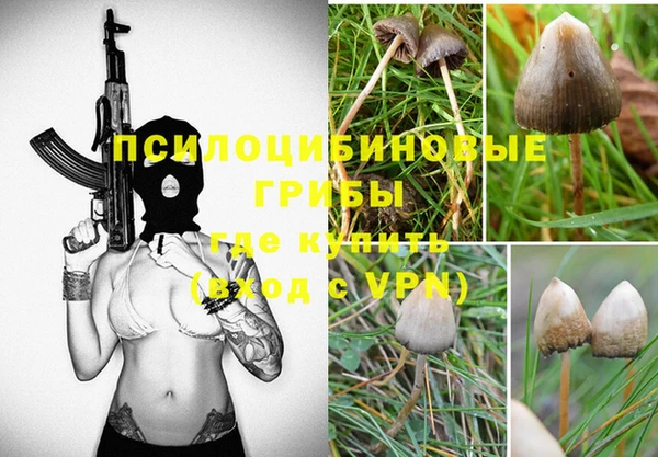 МДПВ Арсеньев