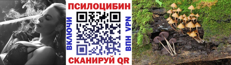 дарк нет клад Похвистнево Псилоцибиновые грибы мицелий